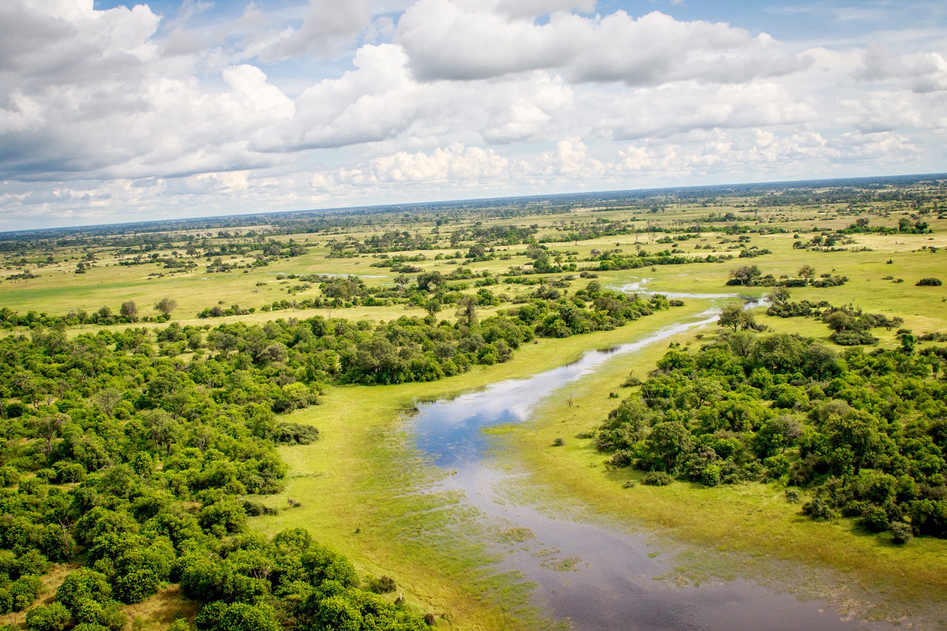 OkavangoDelta1 OkavangoDelta1